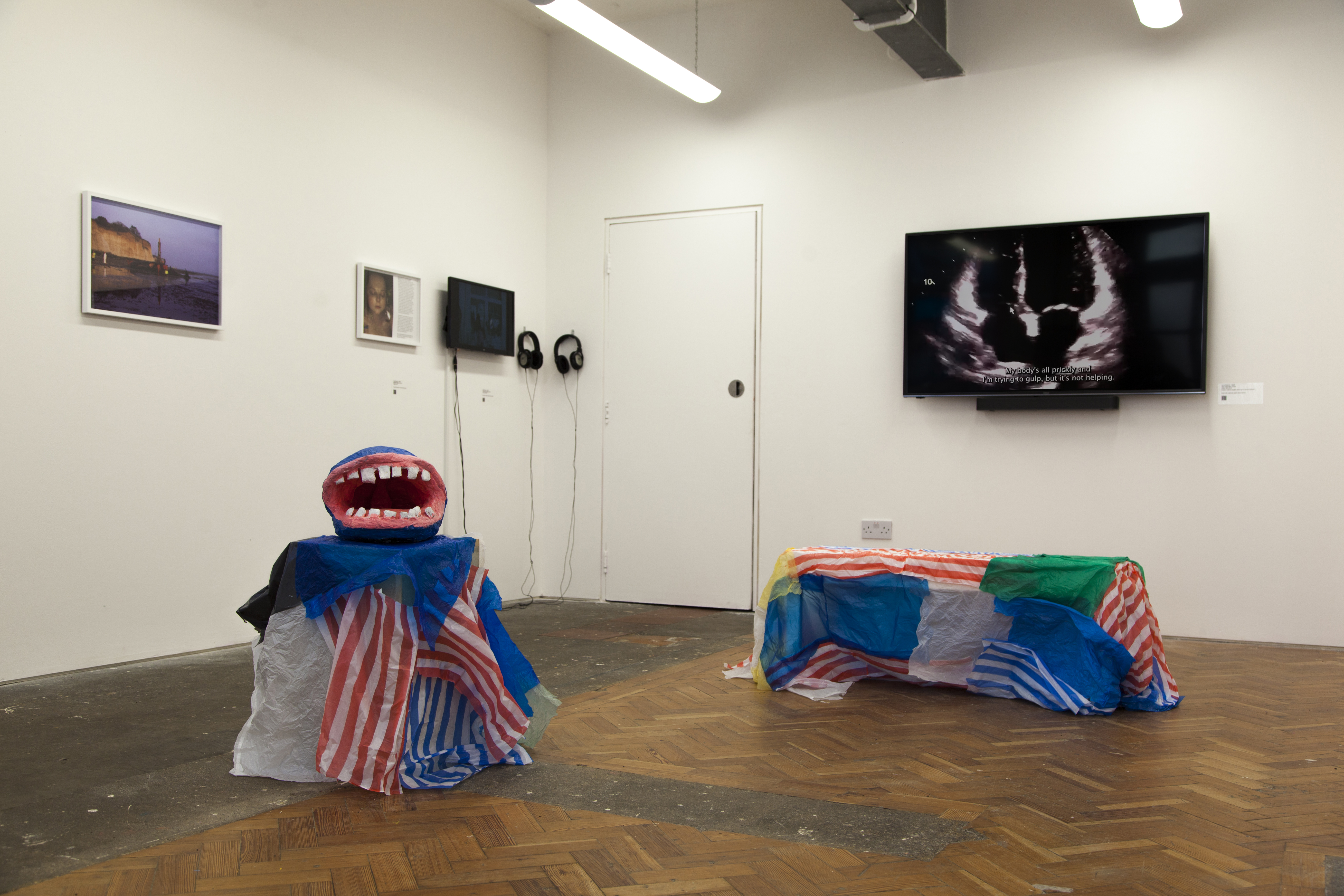 Things I Have Learned The Hard Way, installation view (Crate). Photo: Steven Cass, 2022. 